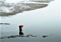 赶小海