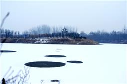 雪后湖景