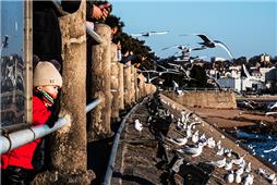 外面的世界真精彩