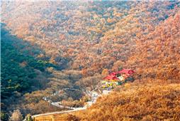 深山古寺秋色美