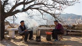 杏花树下开心的老两口