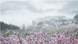 桃源春色