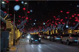 瑞雪华灯迎新春