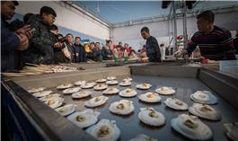 大年初一糖球会