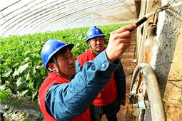 大棚“电管家”