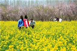 绚烂春色惹人醉