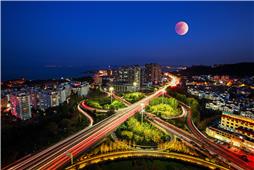 海上生“红月”