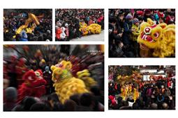 龙腾狮舞贺新春