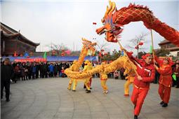舞龙贺春