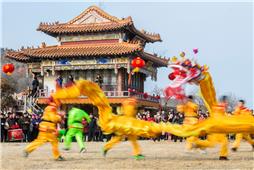 金龙狂舞闹元宵