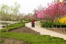 《黄河口居民小区即景》