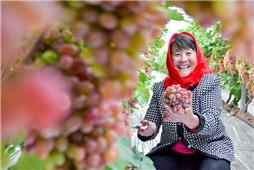 《丰收的喜悦》