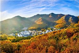 《满山红叶醉人时》