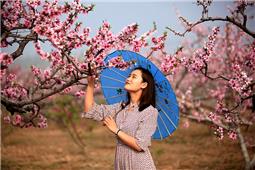 桃园倩影