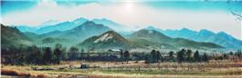 青山