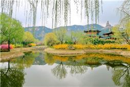 《花红柳绿》