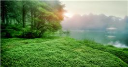 林景风光2
