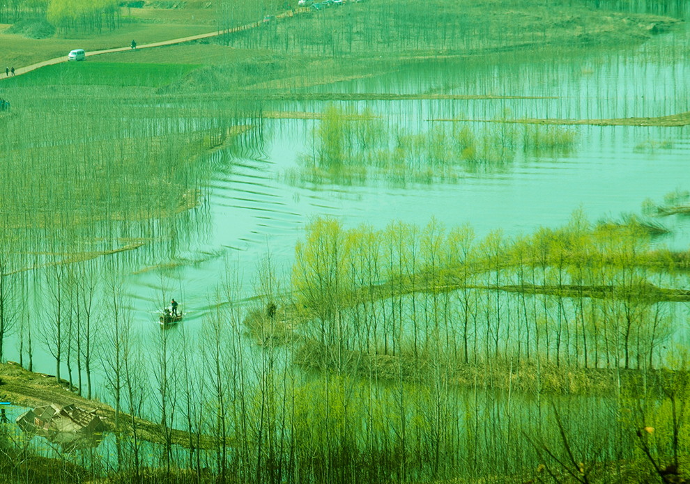 春风又绿潍河畔