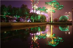 新春佳节灯光秀