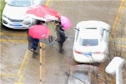 《严防严控》-2