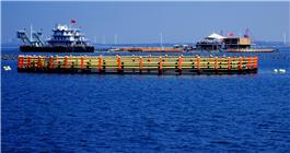 充满生机的海洋牧场