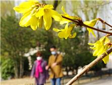 迎来春色满人间