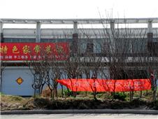 这个新年不寻常