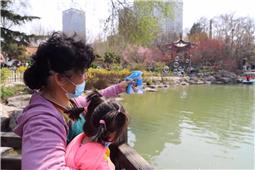 拥抱春天，放飞梦想