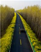 湖东新大堤春色