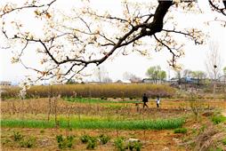 推着小车去买化肥