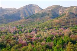 山村春色