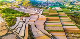 山村春色