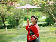 花开花落又一春