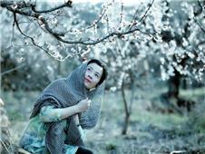 待到山花烂漫时