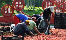 明天更美好