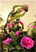 花仙子