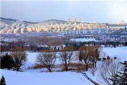 《雪后》