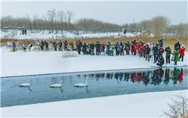 《风雪约会》