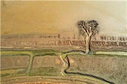 黄河沙画