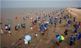 赶海
