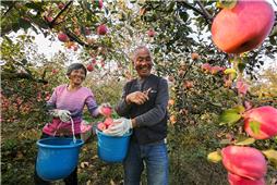 幸福就是这样子