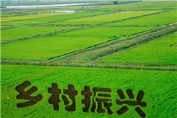 《乡村振兴》