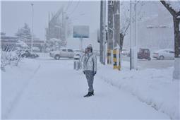 赏雪