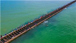 浅海箠轮