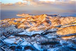 金山