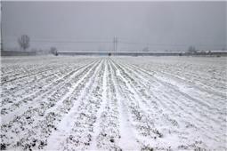 《瑞雪兆丰年》