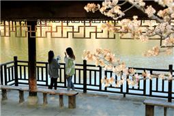 古城春光惹人醉