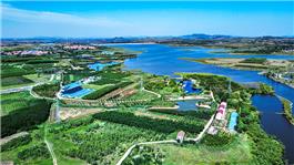 绿色家园