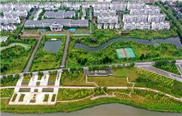 绿色家园
