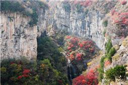 峡谷深秋